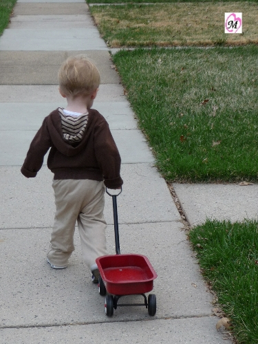 Wagon