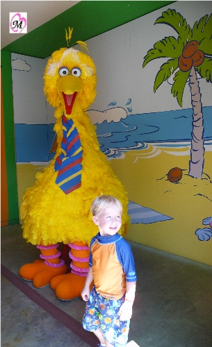 4 year old meeting Big Bird