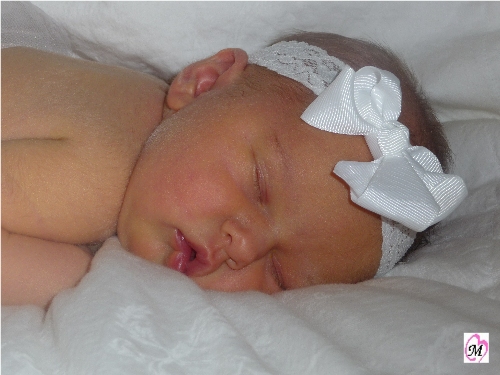 Newborn Photo